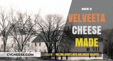 Velveeta's Origin: Unveiling the Cheese's Production Location