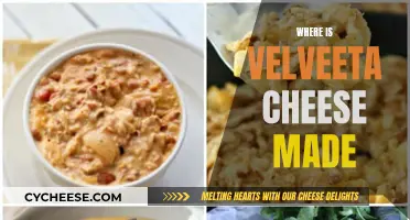 Velveeta Cheese: A Journey to Its Origins