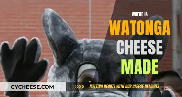 Watonga Cheese: A Tasty Treat from Oklahoma