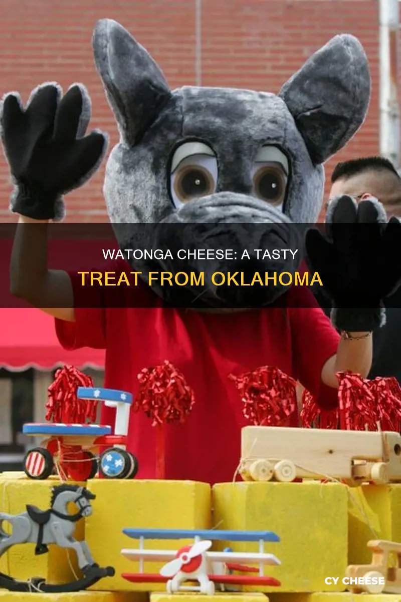 where is watonga cheese made