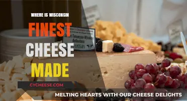 Wisconsin's Best Cheese: Unveiling the Secret Origin