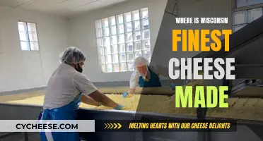 Wisconsin's Finest Cheese: Where is it Made?