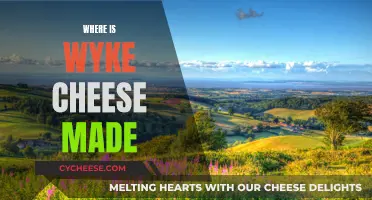 Wyke Farms: The Birthplace of Wyke Cheese