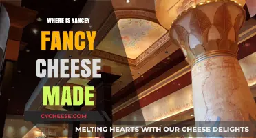 Yancey's Fancy: A Journey to the Cheese Capital