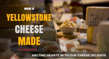 Uncover the Secrets: Where Yellowstone's Famous Cheese is Crafted