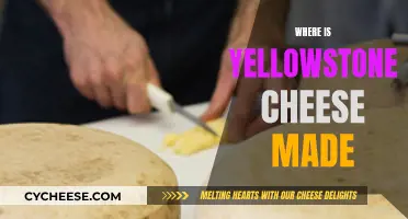 Yellowstone Cheese: Where is This Golden Goodness Made?
