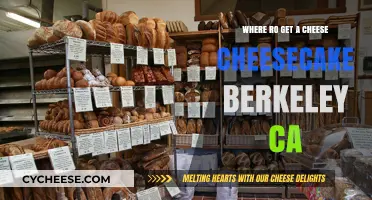 Berkeley's Best Cheesy Cheesecake