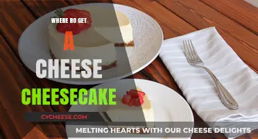 Cheese Cheesecake: Where to Get the Best