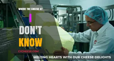 Where's the Cheese? A Hilarious Quest for the Missing Dairy Delight