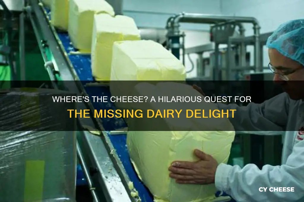 where the cheese at i don