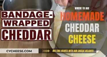 Perfecting Cheddar: Aging Tips for Homemade Cheese