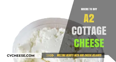 Discover the Best Places to Buy A2 Cottage Cheese Today