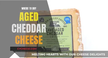 Where to Find the Best Aged Cheddar: A Guide to Quality Cheeses