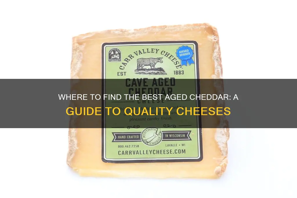 where to buy aged cheddar cheese