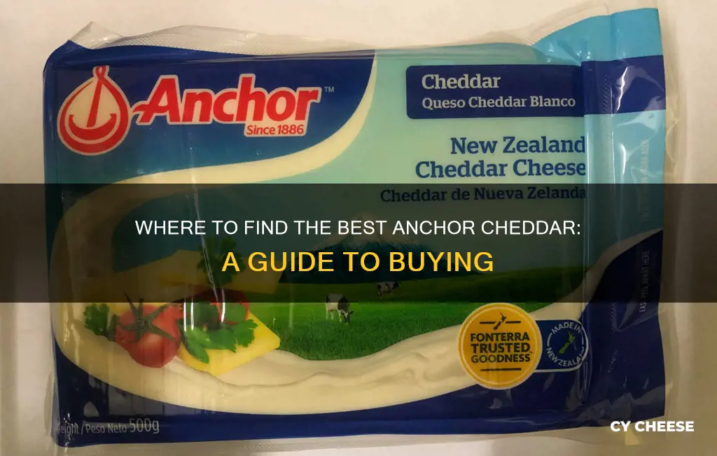 where to buy anchor cheddar cheese