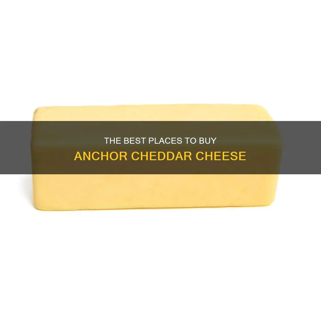 where to buy anchor new zealand cheddar cheese