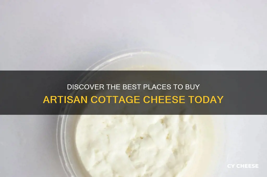 where to buy artisa cottage cheese