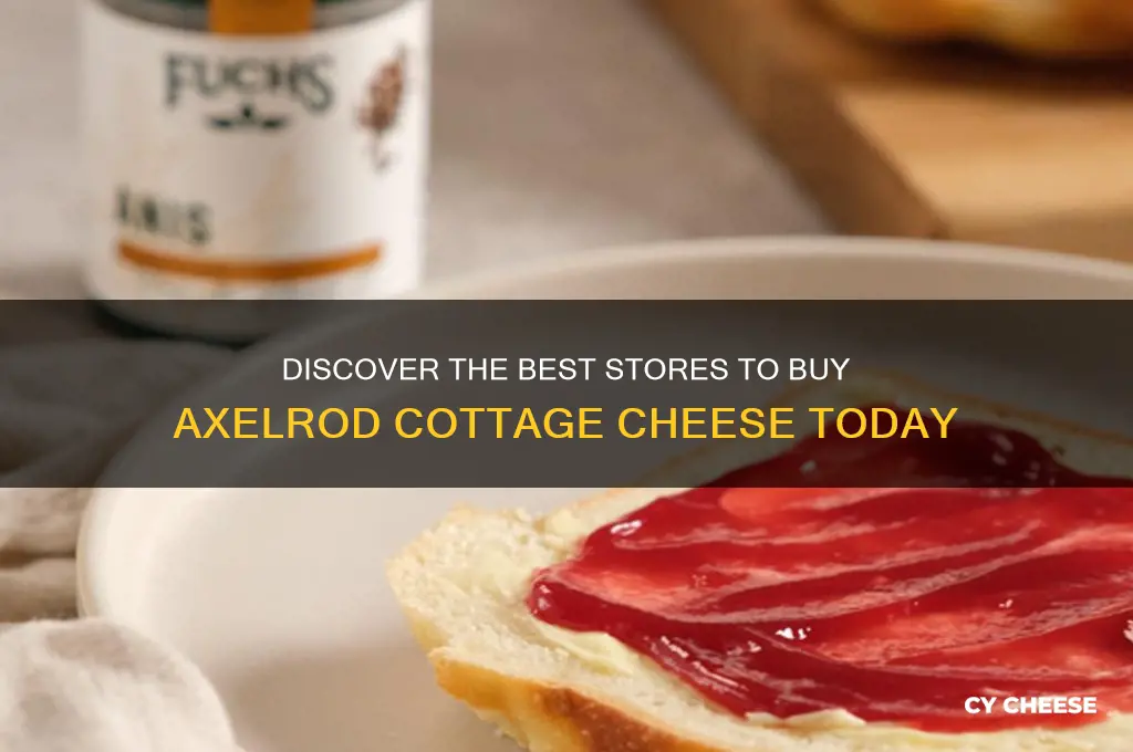 where to buy axelrod cottage cheese