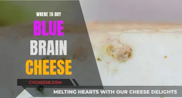 Brain Cheese Hunt: Blue Edition