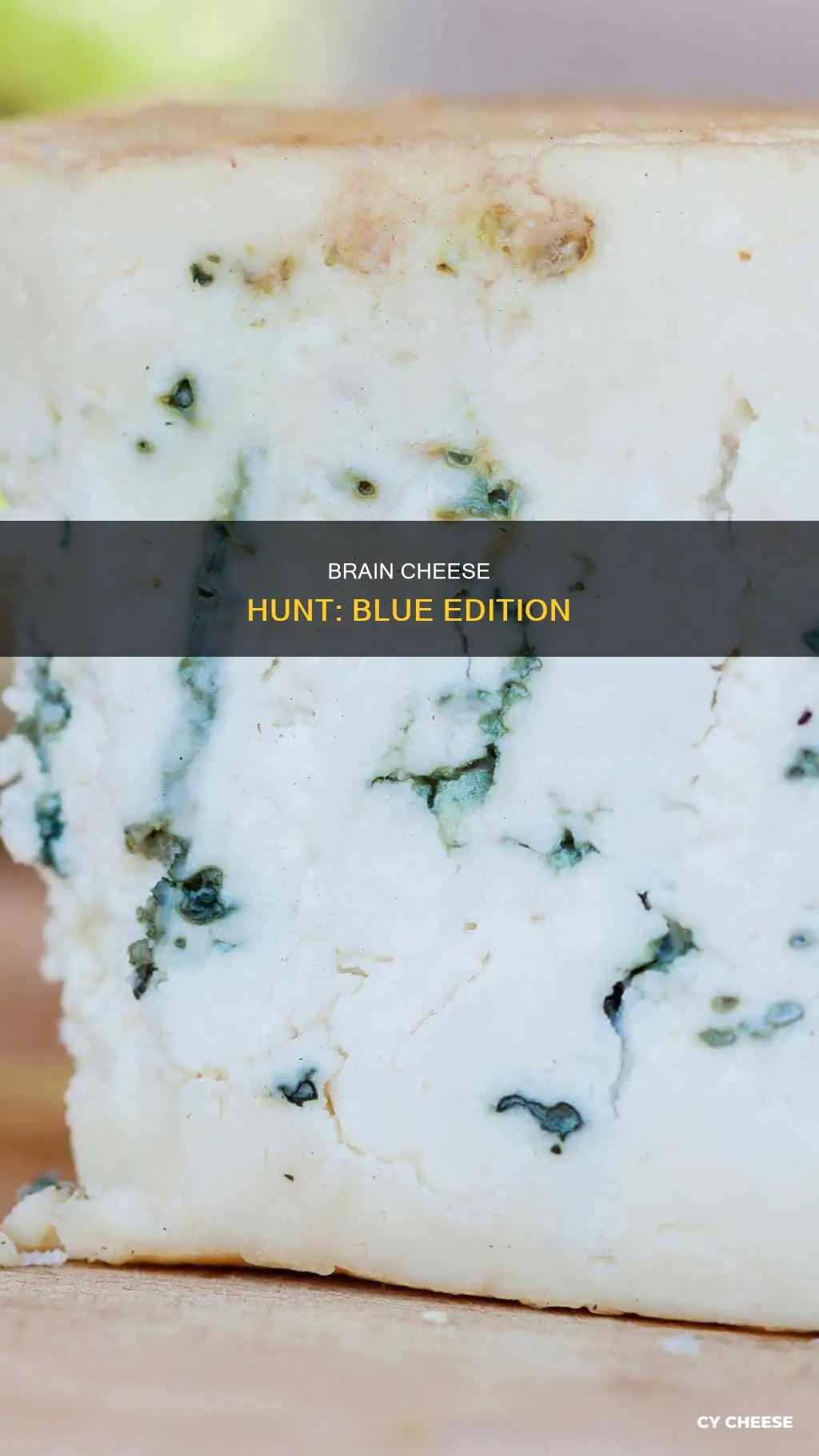 where to buy blue brain cheese
