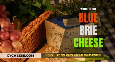 Best Places to Buy Blue Brie Cheese