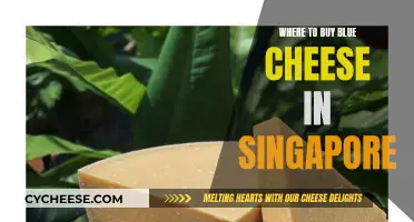 Best Places to Buy Blue Cheese in Singapore