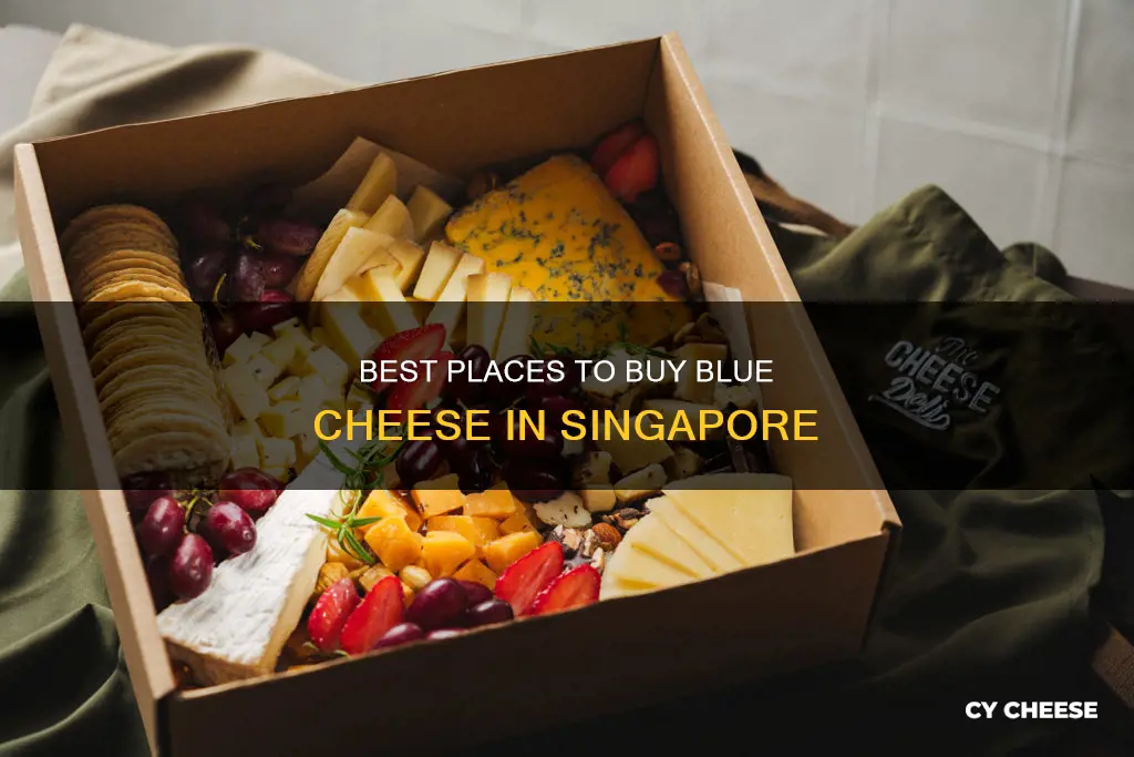 where to buy blue cheese in singapore
