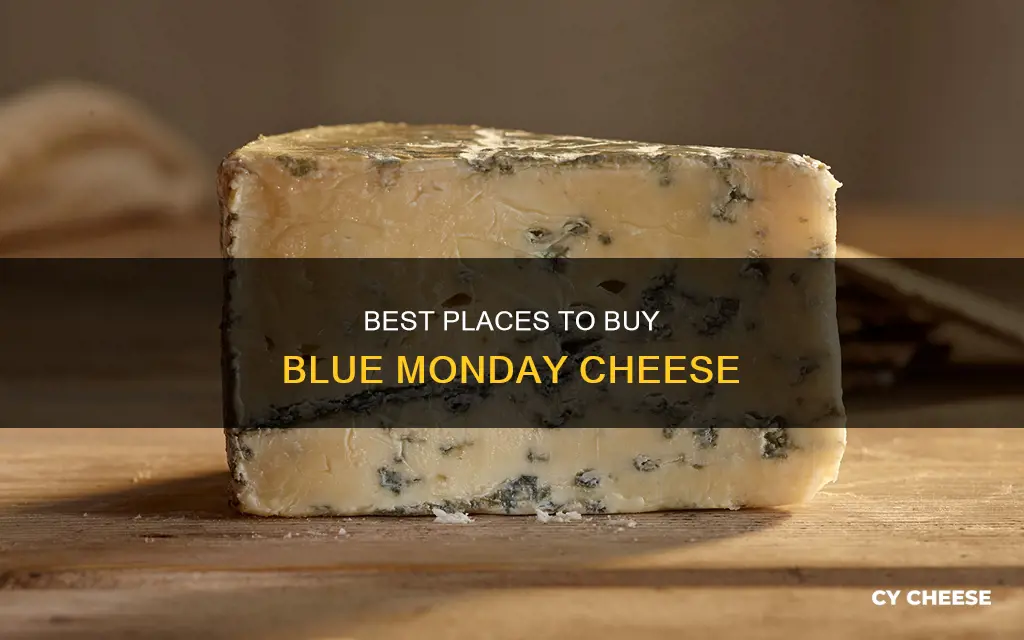 where to buy blue monday cheese