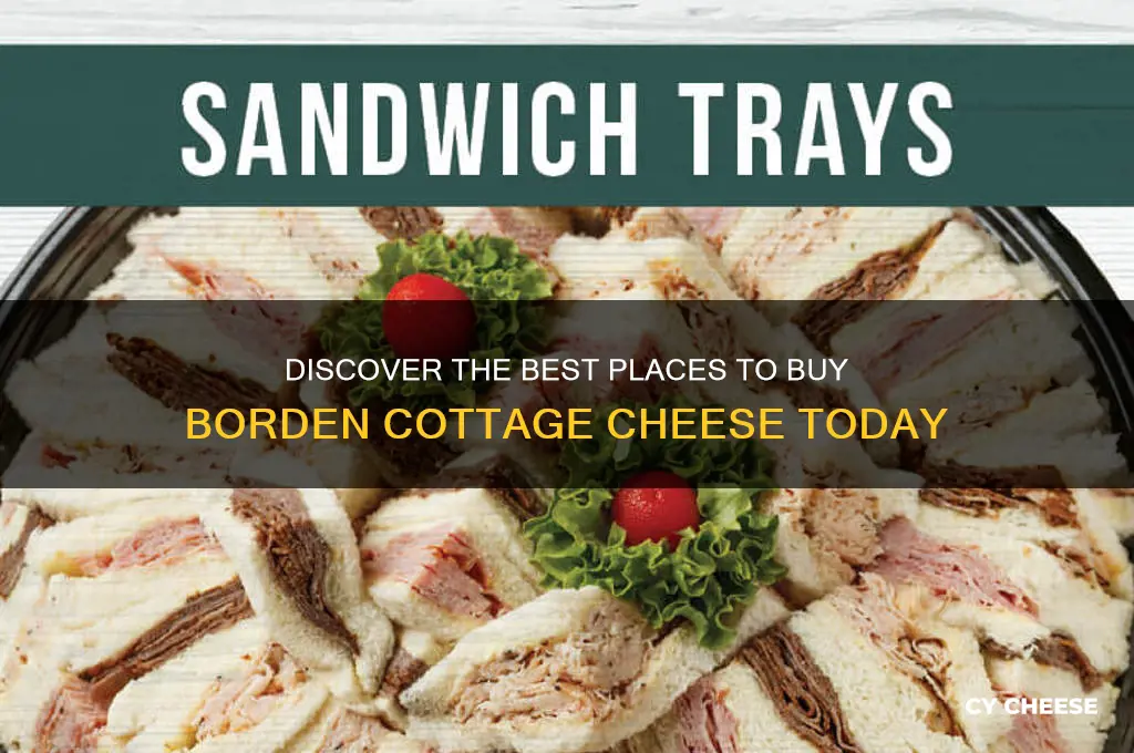 where to buy borden cottage cheese