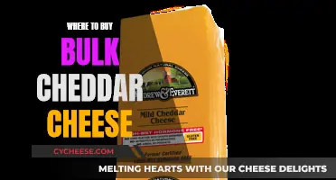 Cheese Lovers' Guide: Top Sources for Cheddar in Bulk