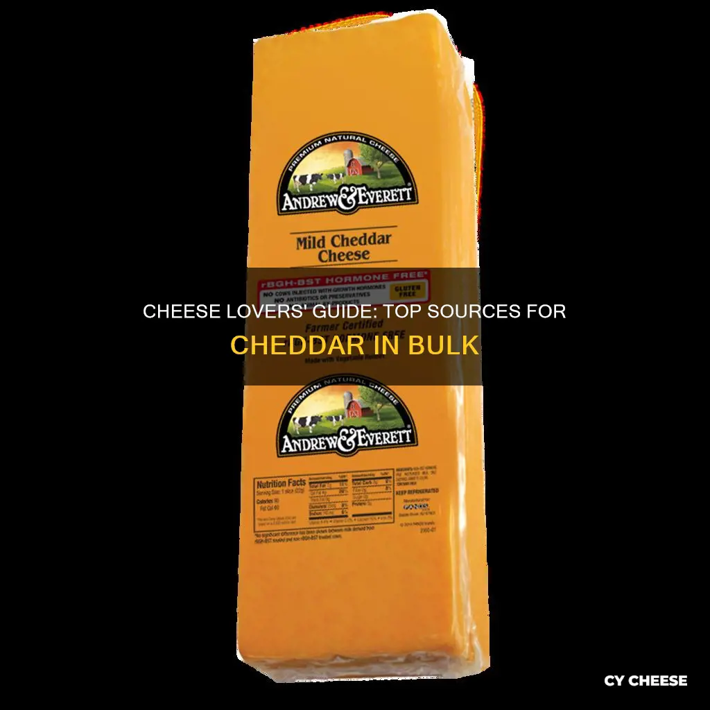 where to buy bulk cheddar cheese