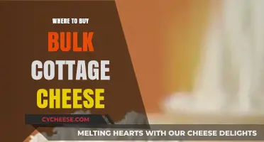 Best Places to Buy Bulk Cottage Cheese for Savings and Convenience