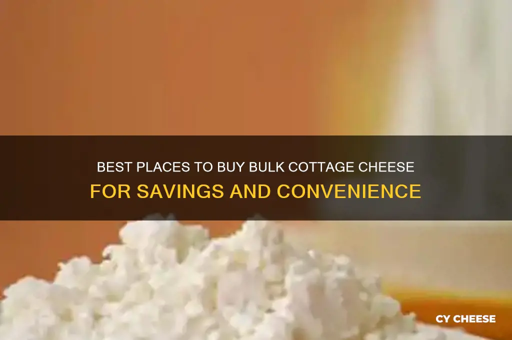 where to buy bulk cottage cheese