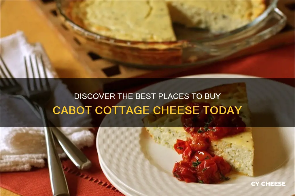 where to buy cabot cottage cheese