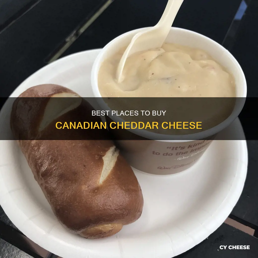 where to buy canadian cheddar cheese