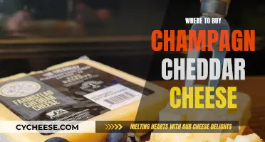 Where to Find the Best Champagne Cheddar: A Guide to Quality Cheeses