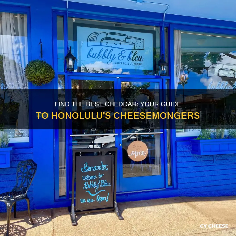 where to buy cheddar cheese honolulu