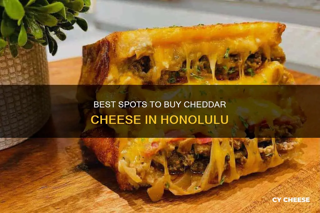 where to buy cheddar cheese honolulu