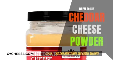 The Ultimate Guide to Cheddar Cheese Powder: Sources and Tips