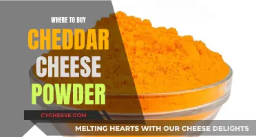 Best Places to Buy Cheddar Cheese Powder