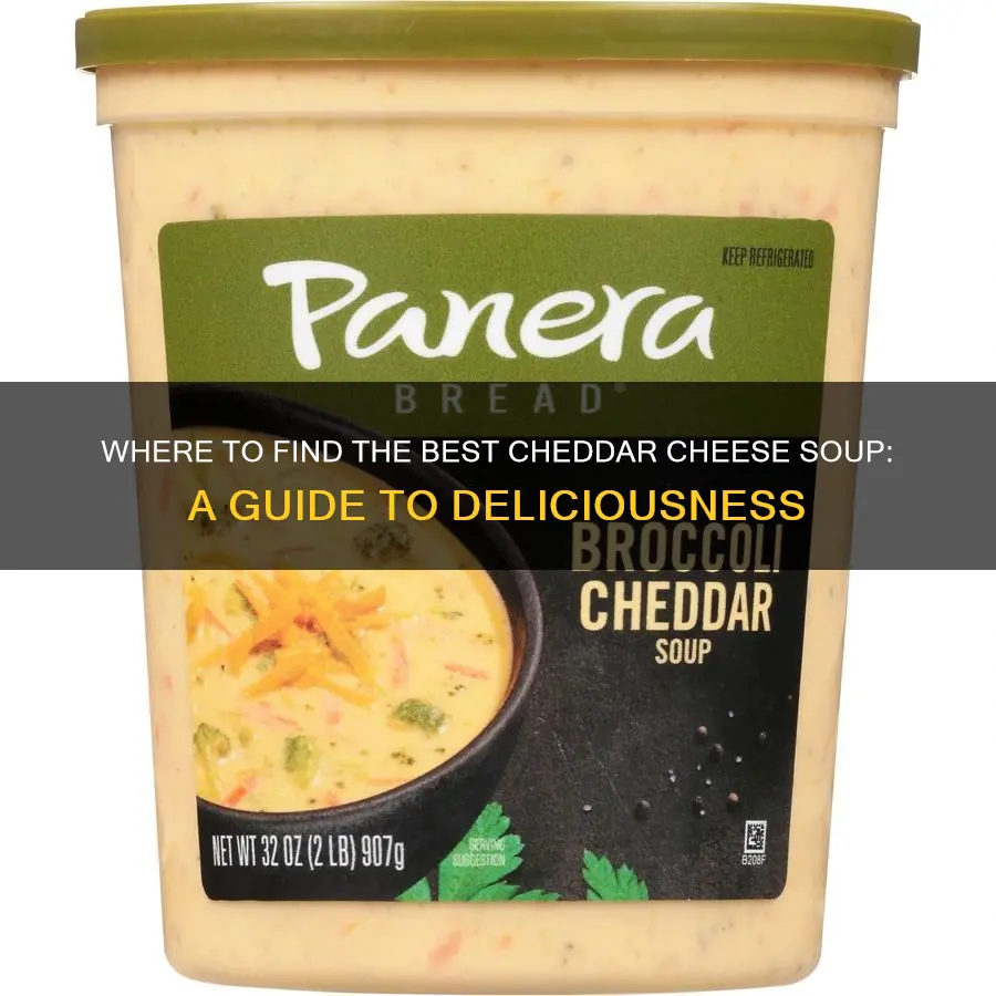 where to buy cheddar cheese soup