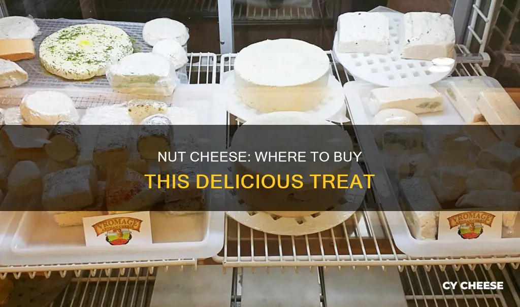 where to buy cheese made from nuts
