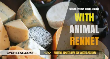 Where to Find Cheese with Animal-Derived Rennet: A Guide