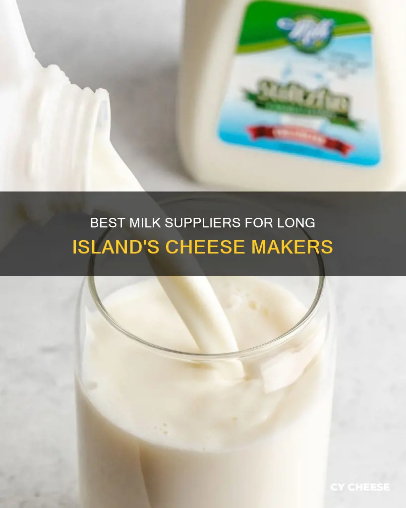 where to buy cheese making milk in long island