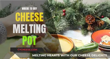 Cheese Melting Pot: Where to Buy?