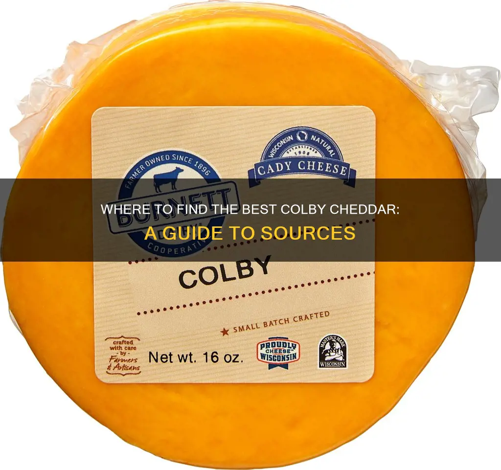 where to buy colby cheddar cheese