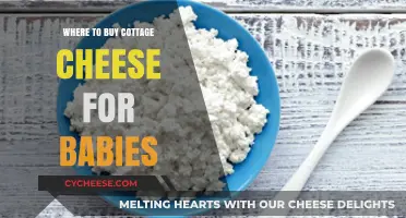 Best Places to Buy Cottage Cheese for Your Baby's Nutrition