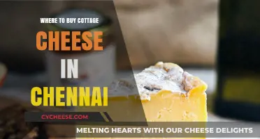 Best Places to Buy Cottage Cheese in Chennai: A Shopper's Guide