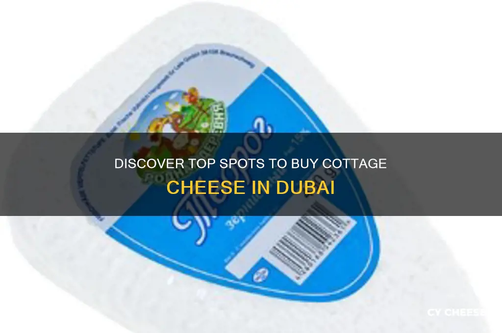 where to buy cottage cheese in dubai