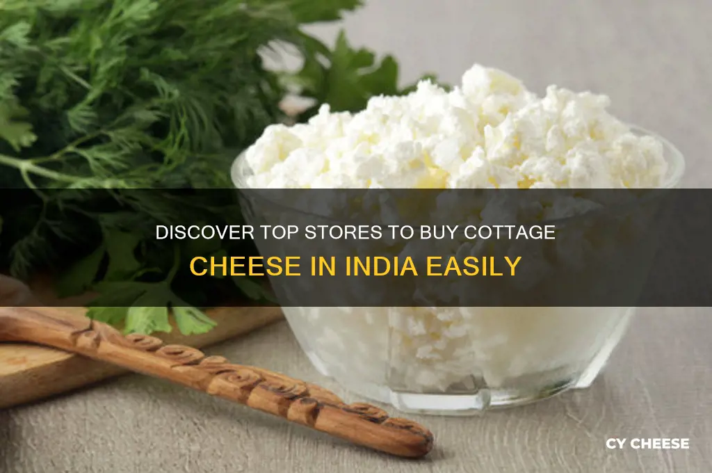where to buy cottage cheese in india